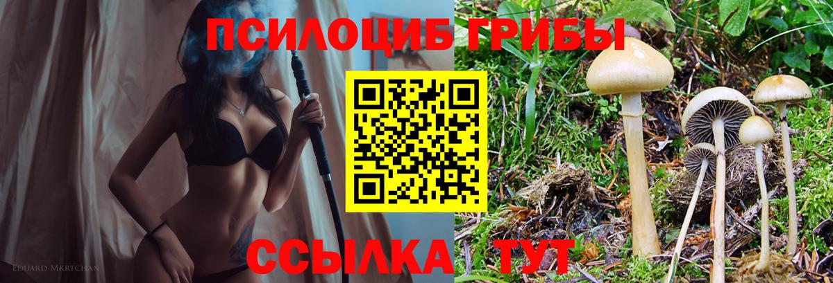 Галлюциногенные грибы Cubensis Донецк