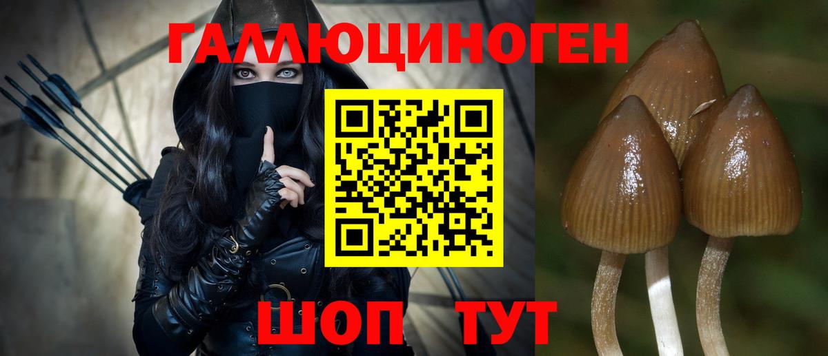 Псилоцибиновые грибы Cubensis  Псилоцибиновые грибы прущие грибы  Донецк  Вход с VPN 
